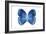 Miss Butterfly Formosana - X-Ray White Edition-Philippe Hugonnard-Framed Photographic Print