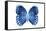 Miss Butterfly Formosana - X-Ray White Edition-Philippe Hugonnard-Framed Stretched Canvas