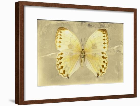 Miss Butterfly Formosana - Yellow-Philippe Hugonnard-Framed Photographic Print