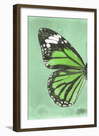 Miss Butterfly Genutia Profil - Green-Philippe Hugonnard-Framed Photographic Print