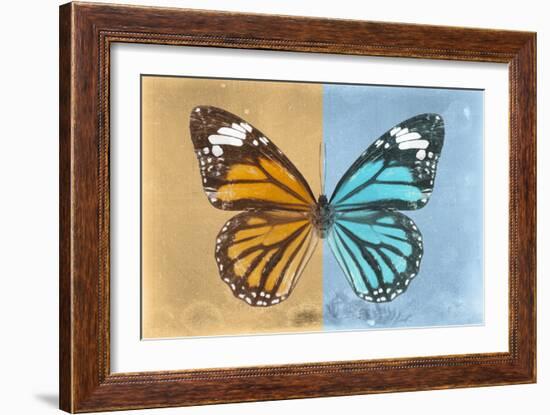 Miss Butterfly Genutia Profil - Honey & Blue-Philippe Hugonnard-Framed Photographic Print