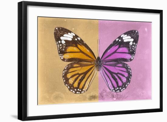 Miss Butterfly Genutia Profil - Honey & Pink-Philippe Hugonnard-Framed Photographic Print