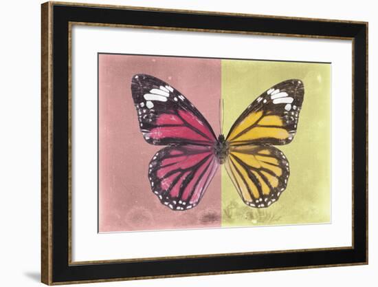 Miss Butterfly Genutia Profil - Hot Pink & Yellow-Philippe Hugonnard-Framed Photographic Print