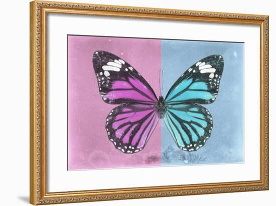 Miss Butterfly Genutia Profil - Pink & Blue-Philippe Hugonnard-Framed Photographic Print