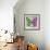 Miss Butterfly Genutia Sq - Green & Pink-Philippe Hugonnard-Framed Photographic Print displayed on a wall