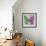Miss Butterfly Genutia Sq - Green & Pink-Philippe Hugonnard-Framed Photographic Print displayed on a wall