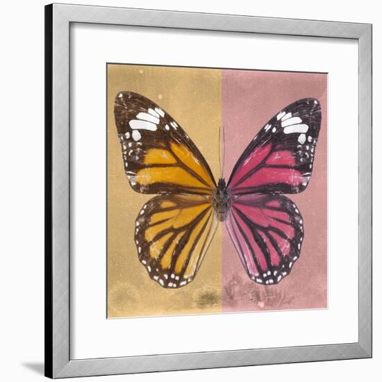 Miss Butterfly Genutia Sq - Honey & Hot Pink-Philippe Hugonnard-Framed Photographic Print