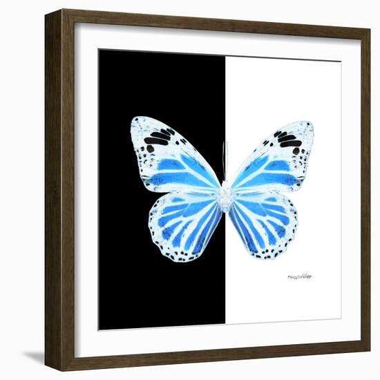 Miss Butterfly Genutia Sq - X-Ray B&W Edition-Philippe Hugonnard-Framed Photographic Print