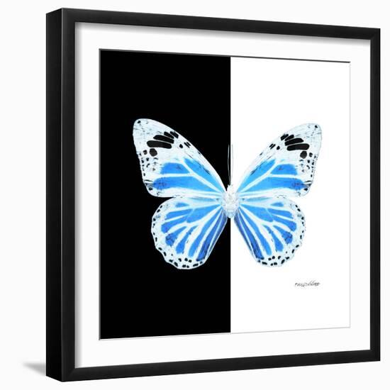 Miss Butterfly Genutia Sq - X-Ray B&W Edition-Philippe Hugonnard-Framed Photographic Print