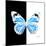 Miss Butterfly Genutia Sq - X-Ray B&W Edition-Philippe Hugonnard-Mounted Photographic Print