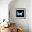 Miss Butterfly Genutia Sq - X-Ray Black Edition-Philippe Hugonnard-Framed Photographic Print displayed on a wall