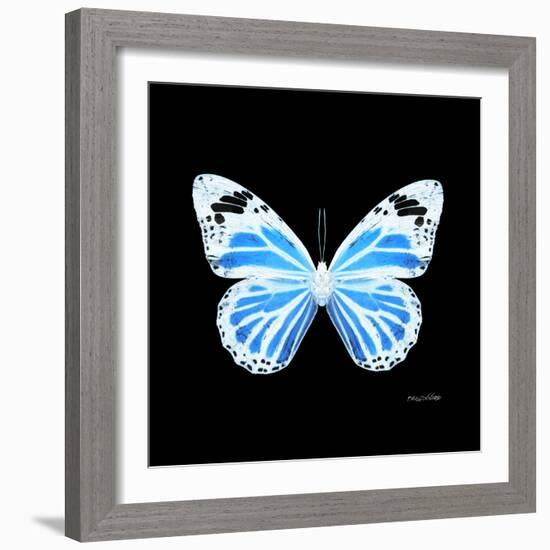 Miss Butterfly Genutia Sq - X-Ray Black Edition-Philippe Hugonnard-Framed Photographic Print