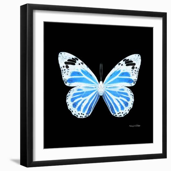 Miss Butterfly Genutia Sq - X-Ray Black Edition-Philippe Hugonnard-Framed Photographic Print