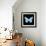 Miss Butterfly Genutia Sq - X-Ray Black Edition-Philippe Hugonnard-Framed Photographic Print displayed on a wall