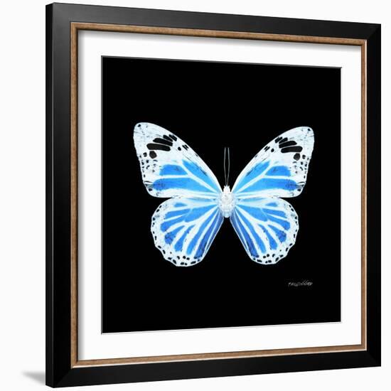 Miss Butterfly Genutia Sq - X-Ray Black Edition-Philippe Hugonnard-Framed Photographic Print