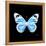 Miss Butterfly Genutia Sq - X-Ray Black Edition-Philippe Hugonnard-Framed Stretched Canvas