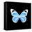 Miss Butterfly Genutia Sq - X-Ray Black Edition-Philippe Hugonnard-Framed Stretched Canvas