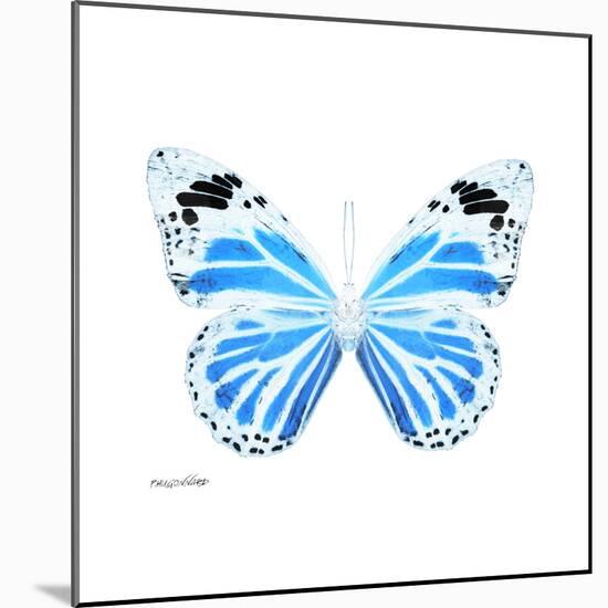 Miss Butterfly Genutia Sq - X-Ray White Edition-Philippe Hugonnard-Mounted Photographic Print