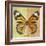 Miss Butterfly Genutia Sq - Yellow & Honey-Philippe Hugonnard-Framed Photographic Print