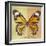 Miss Butterfly Genutia Sq - Yellow & Honey-Philippe Hugonnard-Framed Photographic Print