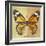 Miss Butterfly Genutia Sq - Yellow & Honey-Philippe Hugonnard-Framed Photographic Print