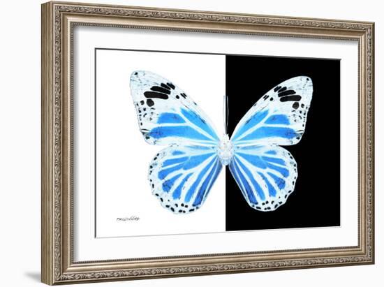 Miss Butterfly Genutia - X-Ray B&W Edition-Philippe Hugonnard-Framed Photographic Print