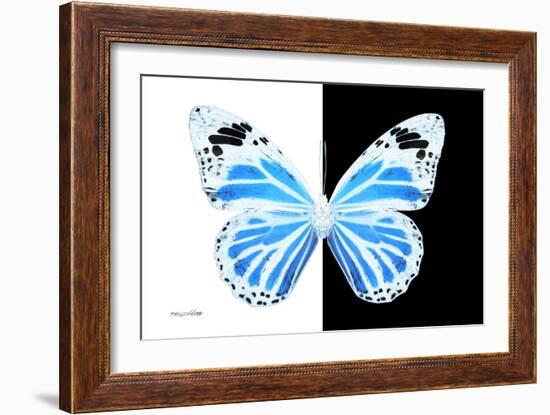 Miss Butterfly Genutia - X-Ray B&W Edition-Philippe Hugonnard-Framed Photographic Print