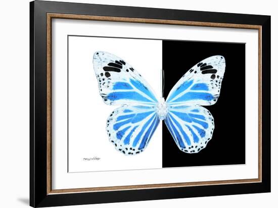 Miss Butterfly Genutia - X-Ray B&W Edition-Philippe Hugonnard-Framed Photographic Print