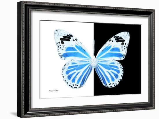 Miss Butterfly Genutia - X-Ray B&W Edition-Philippe Hugonnard-Framed Photographic Print