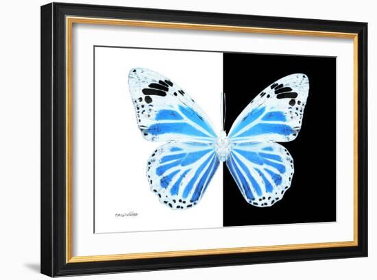 Miss Butterfly Genutia - X-Ray B&W Edition-Philippe Hugonnard-Framed Photographic Print