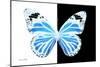 Miss Butterfly Genutia - X-Ray B&W Edition-Philippe Hugonnard-Mounted Premium Photographic Print