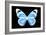 Miss Butterfly Genutia - X-Ray Black Edition-Philippe Hugonnard-Framed Photographic Print