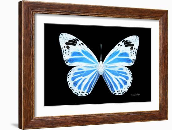 Miss Butterfly Genutia - X-Ray Black Edition-Philippe Hugonnard-Framed Photographic Print