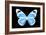 Miss Butterfly Genutia - X-Ray Black Edition-Philippe Hugonnard-Framed Photographic Print