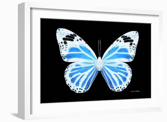 Miss Butterfly Genutia - X-Ray Black Edition-Philippe Hugonnard-Framed Photographic Print