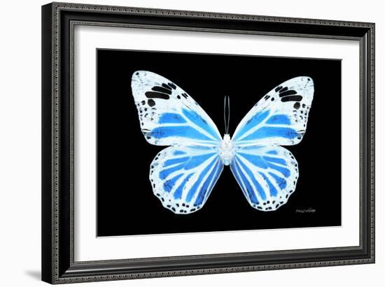 Miss Butterfly Genutia - X-Ray Black Edition-Philippe Hugonnard-Framed Photographic Print