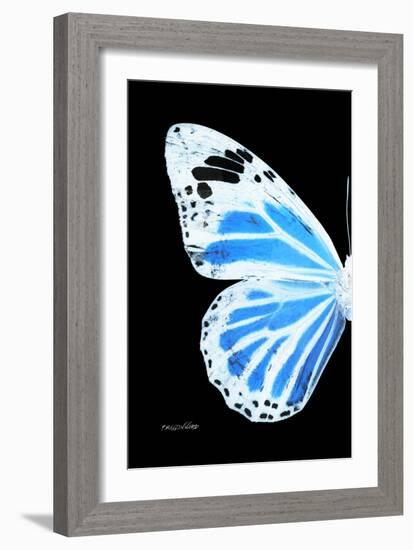 Miss Butterfly Genutia - X-Ray Left Black Edition-Philippe Hugonnard-Framed Photographic Print