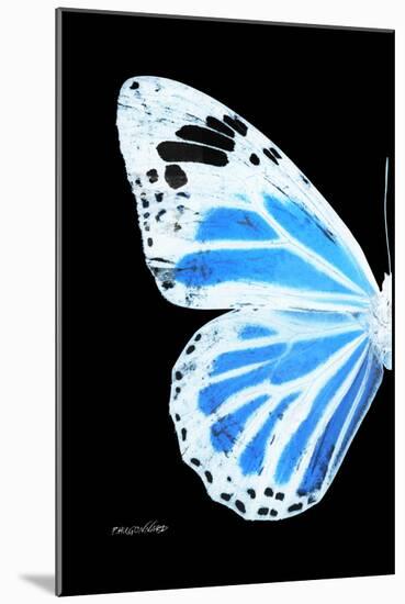 Miss Butterfly Genutia - X-Ray Left Black Edition-Philippe Hugonnard-Mounted Photographic Print
