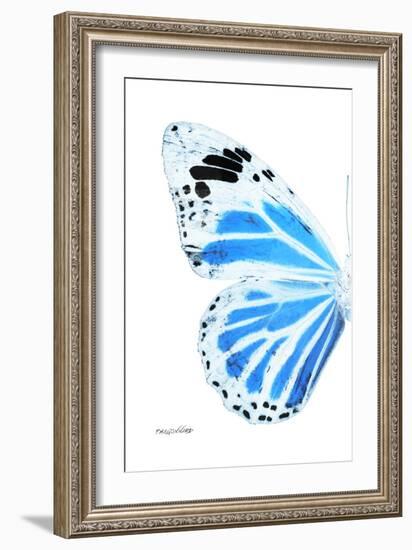 Miss Butterfly Genutia - X-Ray Left White Edition-Philippe Hugonnard-Framed Photographic Print