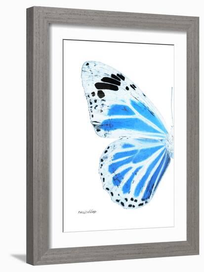 Miss Butterfly Genutia - X-Ray Left White Edition-Philippe Hugonnard-Framed Photographic Print
