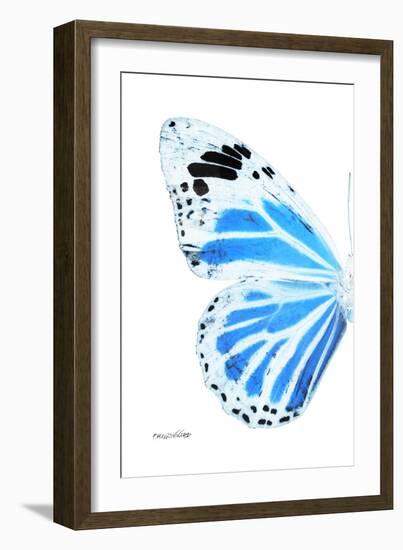 Miss Butterfly Genutia - X-Ray Left White Edition-Philippe Hugonnard-Framed Photographic Print