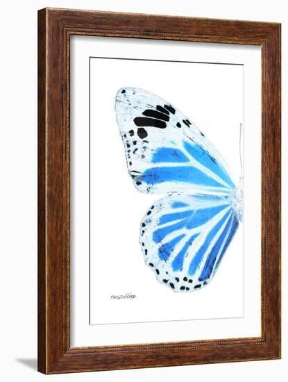 Miss Butterfly Genutia - X-Ray Left White Edition-Philippe Hugonnard-Framed Photographic Print