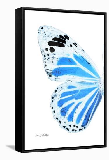 Miss Butterfly Genutia - X-Ray Left White Edition-Philippe Hugonnard-Framed Stretched Canvas