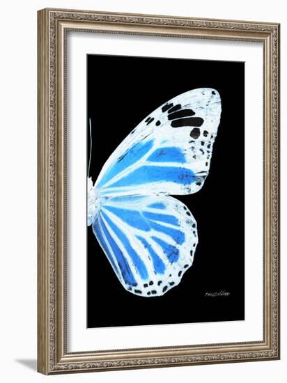 Miss Butterfly Genutia - X-Ray Right Black Edition-Philippe Hugonnard-Framed Photographic Print