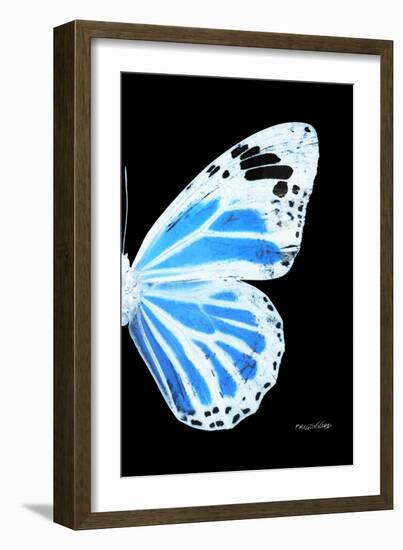 Miss Butterfly Genutia - X-Ray Right Black Edition-Philippe Hugonnard-Framed Photographic Print