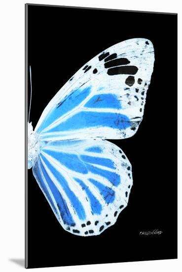 Miss Butterfly Genutia - X-Ray Right Black Edition-Philippe Hugonnard-Mounted Photographic Print
