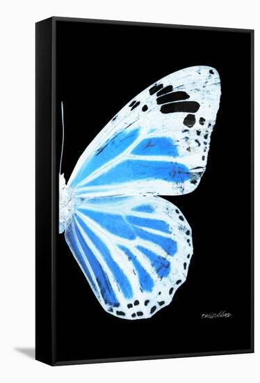 Miss Butterfly Genutia - X-Ray Right Black Edition-Philippe Hugonnard-Framed Stretched Canvas