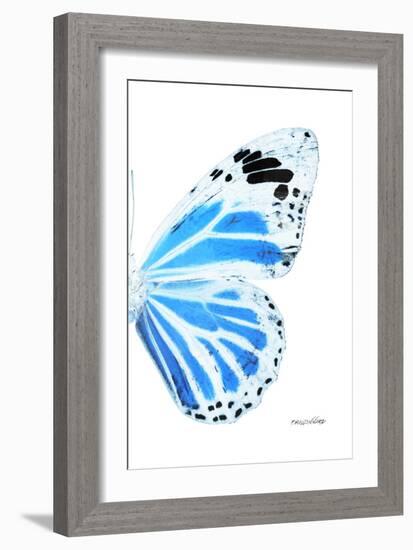 Miss Butterfly Genutia - X-Ray Right White Edition-Philippe Hugonnard-Framed Photographic Print