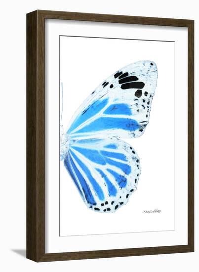 Miss Butterfly Genutia - X-Ray Right White Edition-Philippe Hugonnard-Framed Photographic Print