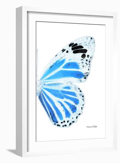 Miss Butterfly Genutia - X-Ray Right White Edition-Philippe Hugonnard-Framed Photographic Print